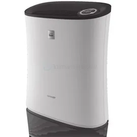 Sharp UA-PE30E-WB Luftreiniger für Räume bis zu 21 qm, 2-Stufen Filtersystem (Vorfilter, HEPA-Filter), schwarz weiß