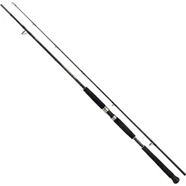 Shimano Beastmaster AX Pilk 2,40m 150-300g 2pc Pilkrute