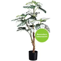 Creativ green Monstera Deliciosa Variegata 80cm künstliche Topfpflanze mit 21 Blättern & Topf in Schwarz