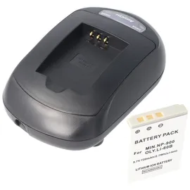 AccuCell Ladegerät und Akku passend für den Akkutyp 02491-0028-00