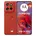 PANTONE Poinciana