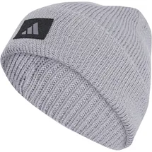 adidas RunxClimawarm Beanie Halo Silver/Reflective Silver