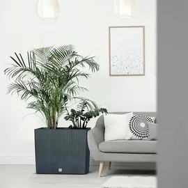 Prosperplast RATO CASE 58 x 18 x 49,8 cm Erdbraun