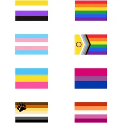 LGBTQ+ Flagge 150x90cm mit Ösen – 8 Varianten zur Auswahl