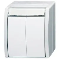 Busch-Jaeger Doppeltaster 2 Schliesser 2621 WN-54-205-101