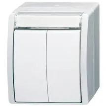 Busch-Jaeger Doppeltaster 2 Schliesser 2621 WN-54-205-101