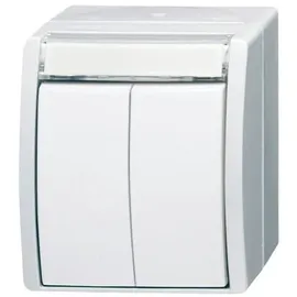 Busch-Jaeger Doppeltaster 2 Schliesser 2621 WN-54-205-101