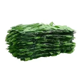 vidaXL Seitenmarkise 400 x 150 cm grün Polyethylen