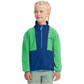 Jack Wolfskin Colorblock Taunus Halbreißverschluss-sweatshirt - Blue Orchid - 176 cm