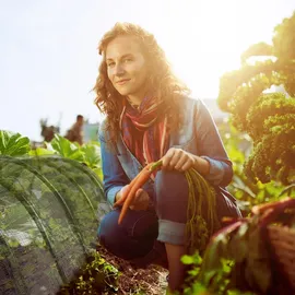 Relaxdays Netztunnel Garten 3,3 m Beetabdeckung gegen Schädlinge und Insekten