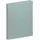Pagna Pastell eco Ringbuch DIN A4 23 mm Minze 1 St.