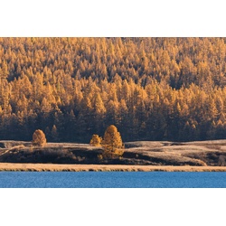 PAPERMOON Fototapete „See am Wald“ Tapeten Gr. B/L: 4,00 m x 2,60 m, Bahnen: 8 St., bunt Fototapeten