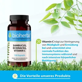 Bioherba Sambucus Echinacea Vitamin C Kapseln 100 St.