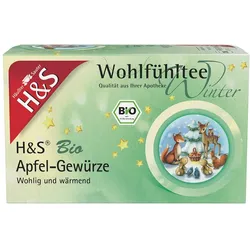 H&S Wintertee Bio Apfel-Gewürze Filterbe 20X2,0 g
