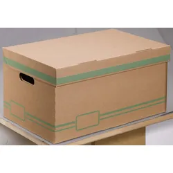 Cartonia Archivcontainer für individuelle Aufbewahrung 54,8 x 36,4 x 26,8 cm