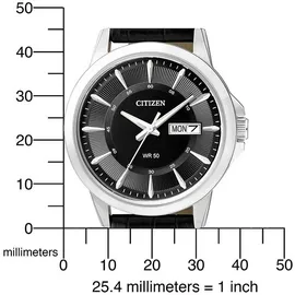 Citizen Basic BF2011-01EE