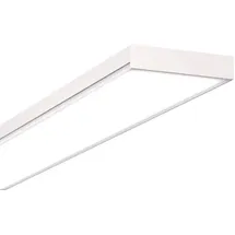 Siteco Apollon 31 33W 4000K Stahlblech