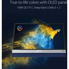 Asus ZenScreen OLED MQ13AH 13"