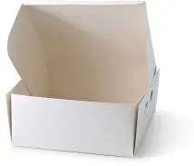 Greenbox Kuchenbox, Pappe, weiß DRE02552 , 1 Karton = 100 Stück, Maße (L x B x H): 23 x 23 x 10 cm