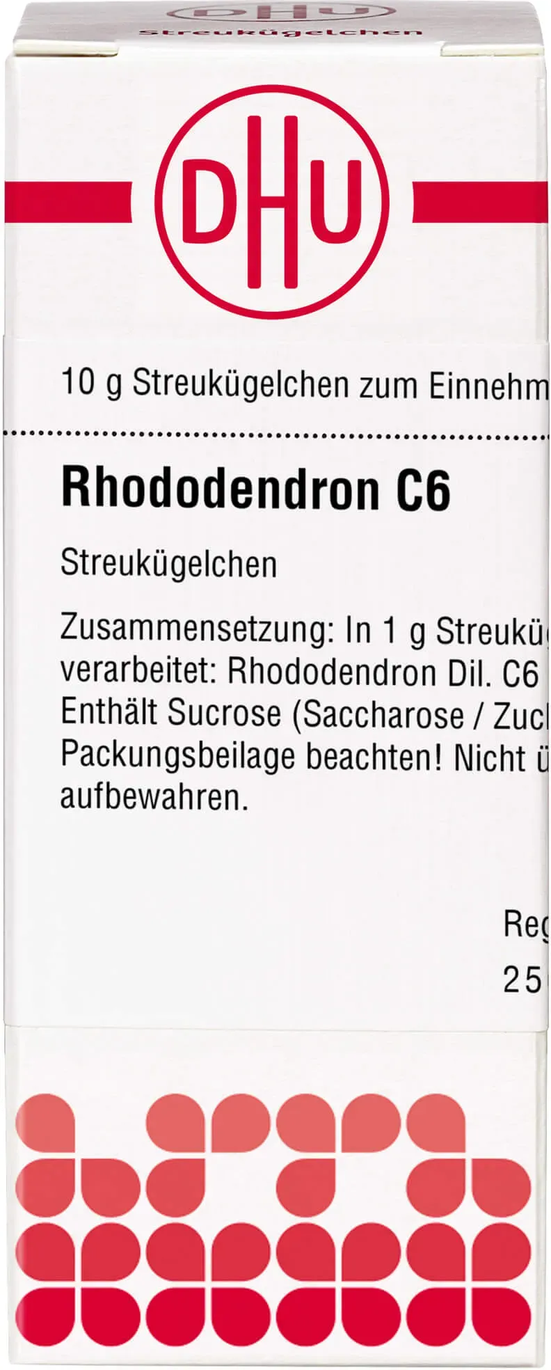 Rhododendron C 6 10 G