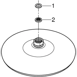 Grohe Tempesta 210 Kopfbrause 26408000
