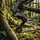 Shimano Schaltwerk Deore XT RD-M8000 11-fach