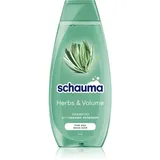 Schwarzkopf Schauma Herbs & Volume Shampoo für feines und schlaffes Haar 400 ml