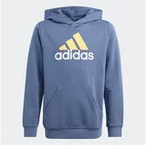 adidas Sportswear Kapuzensweatshirt »U BL 2 HOODIE«, blau