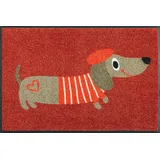 Wash+Dry Monsieur Chien 50 x 75 cm Gelb