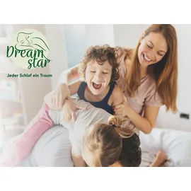 Dreamstar 2er Set Bettdecken | Winter Bettdecke für die kalte Jahreszeit | 135 x 200 cm | DREAMSTAR Eco | Weiß