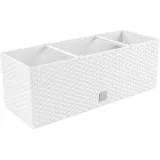 Prosperplast Rattan Balkonblumentopf in Bianco