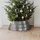 Marrakesch Orient & Mediterran Interior Weihnachtsbaumdecke 60 cm Silber