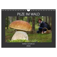 Calvendo PILZE IM WALD (Wandkalender 2026 DIN A4 quer),