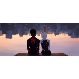 Spider-Man: Across the Spider-Verse