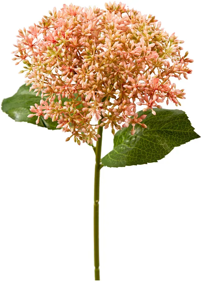 Hortensien Knospen 30cm mit Blättern pink