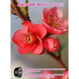 Apexel Makro-Objektiv 100 mm schwarz