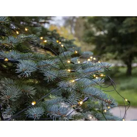 Star Trading Lichterkettennetz LED 2x1,5 m Schwarz warmweiß