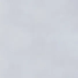 GAH Alberts Zaunlatte 300 x 1000 mm Grau/Verzinkt