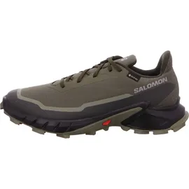 Salomon Alphacross 5 Herren Grau 42