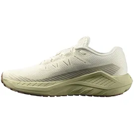 Salomon Drx Defy Grvl Herren Vanilla Ice/Green Haze/White Pepper 40 2/3