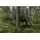 Bradas Gewebe-Schutzplane 4 x 6 m Grau