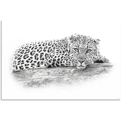 Wandbild ARTLAND "Leopard High Key Optik", schwarz (farbe bild(er): schwarz), B:90cm H:60cm, Bilder, als Alubild, Leinwandbild, Wandaufkleber oder Poster in versch. Größen