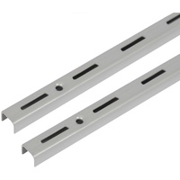 Toolerando Wandschiene für Regalträger, 1-reihig, pulverbeschichteter Stahl, Rasterabstand 50 mm, 2 Stück, Länge 50 cm, Silber