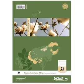 Ursus Basic Ringbucheinlage A4 liniert