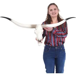 Deko Kuhsch√§del HWC-D32, Stierkopf Bulle Tierkopf Longhorn Troph√§e, Polyresin 103x43x11cm