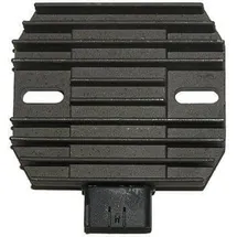 ElectroSport ESR444 Lichtmaschinenregler