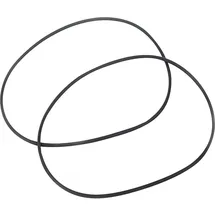 PENTAIR Jung Pumpen O-Ring 198 x 4