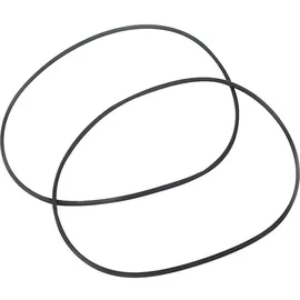 PENTAIR Jung Pumpen O-Ring 198 x 4