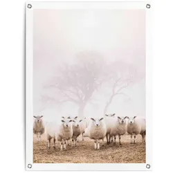 Reinders! Poster »Schafe im Nebel«, Outdoor für Garten oder Balkon Reinders! Farbe Bild(er): Beige