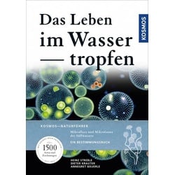 Das Leben im Wassertropfen